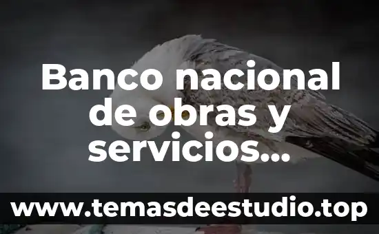 Que es el fisco nacional concepto 4 Banco nacional de obras y servicios publicos que es