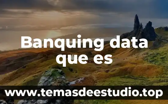 Banquing data que es