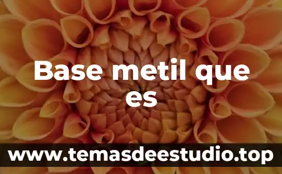 Que es una clave candidata en una base de datos 8 Base metil que es