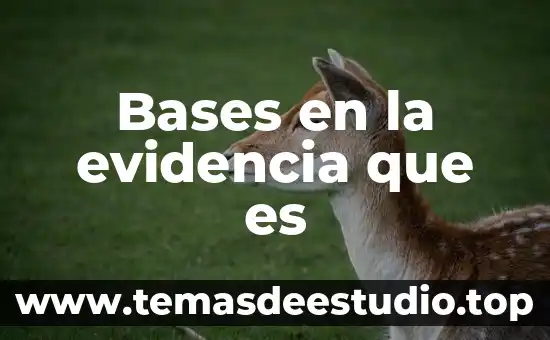 Que es y como se forma un portafolio de evidencia 3 Bases en la evidencia que es