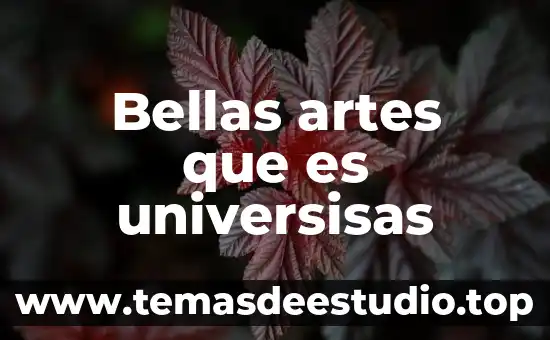 Qué es danza en bellas artes 3 Bellas artes que es universisas