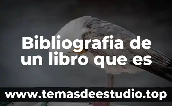Bibliografia de un libro que es