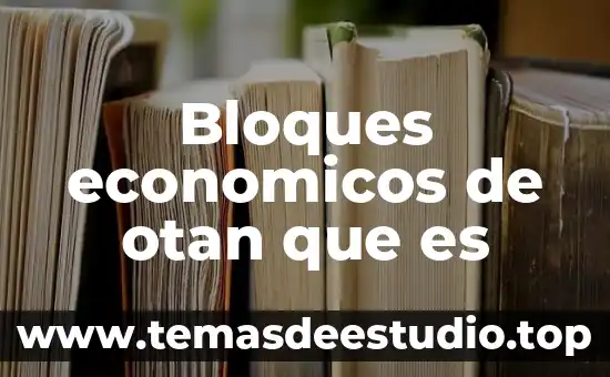 Que es patrimonio en bienes economicos 6 Bloques economicos de otan que es