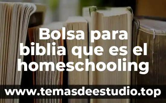 Qué es la bolsa de valores de new york 7 Bolsa para biblia que es el homeschooling