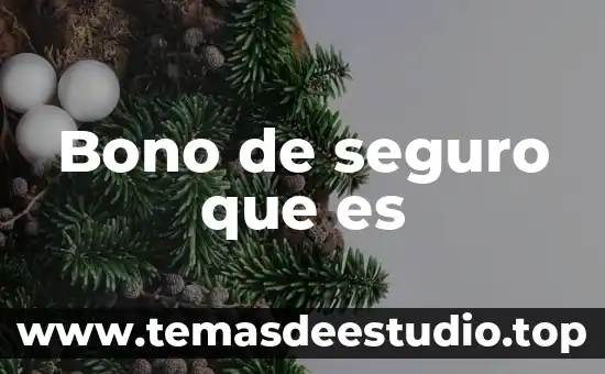 Bono de seguro que es