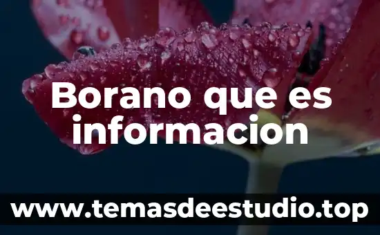 Borano que es informacion