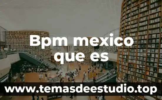 Bpm mexico que es