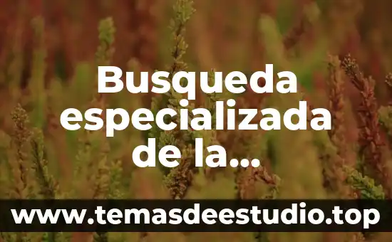 Busqueda especializada de la informacion que es