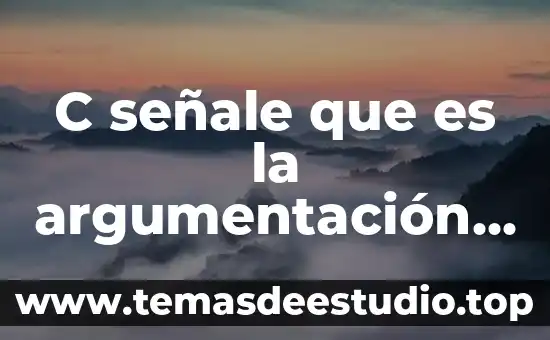 Qué es un concepto de argumentación 6 C señale que es la argumentación en las decisiones judiciales