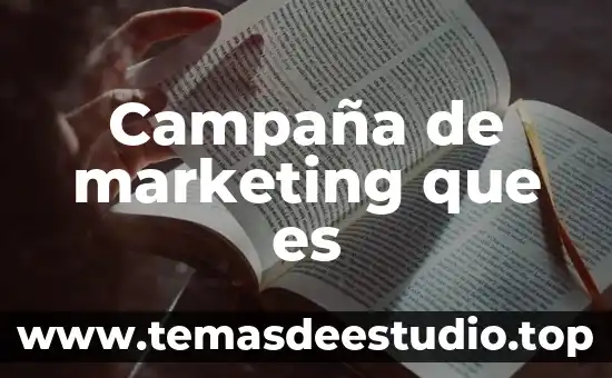 Que es offline en marketing 7 Campaña de marketing que es