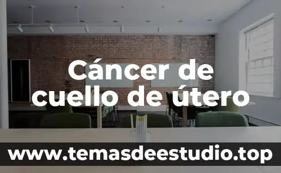 Que es la enfermedad cancer de cuello uterino 3 Cáncer de cuello de útero