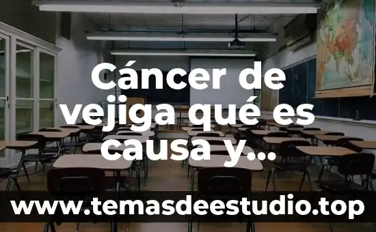 Qué es la vejiga y su funcion 5 Cáncer de vejiga qué es causa y tratamiento