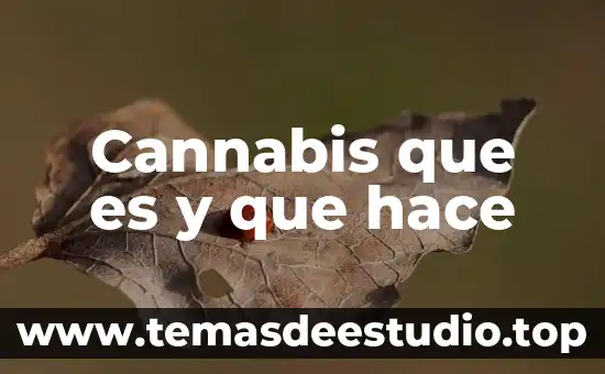 Que es historia y a través de que se hace 7 Cannabis que es y que hace