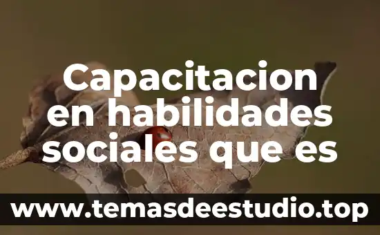 Que es clandestino sociales 6 Capacitacion en habilidades sociales que es