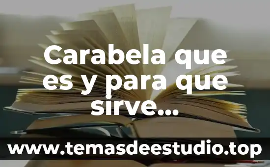 Hwmonitor que es y para que sirve 3 Carabela que es y para que sirve navegacion