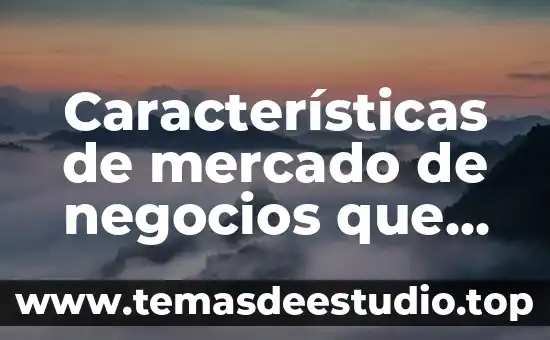 Qué es la teoría de los negocios 5 Características de mercado de negocios que es