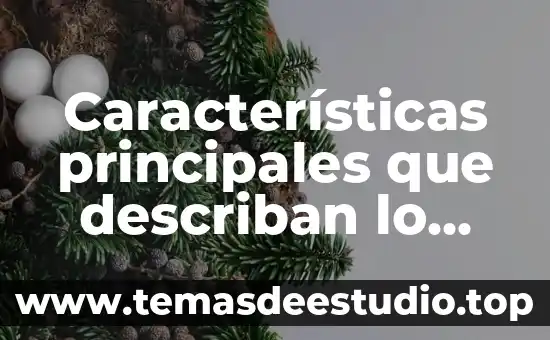 Que es un cuento y sus elementos principales 6 Características principales que describan lo que es ser masculino