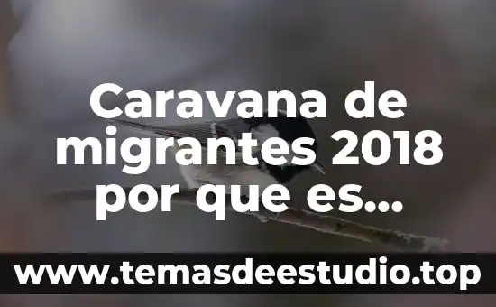 Que es significa natural y motivador 8 Caravana de migrantes 2018 por que es natural