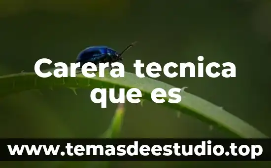 Que es gestion hospitalaria concepto 6 Carera tecnica que es