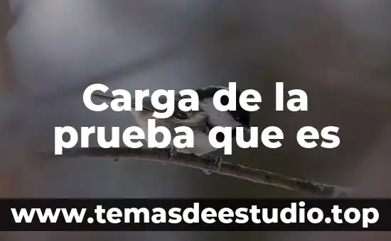 Carga de la prueba que es