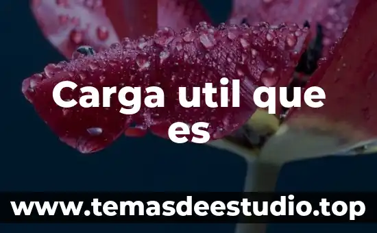 Aitex que es 4 Carga util que es