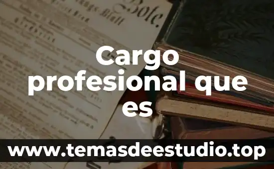 Cargo profesional que es