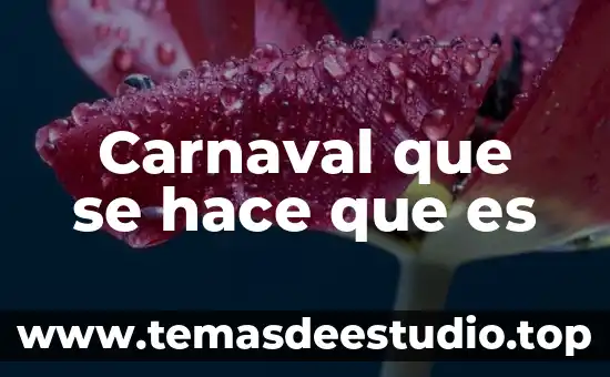 Planta automotriz nissan en aguascalientes que es lo que hace 7 Carnaval que se hace que es