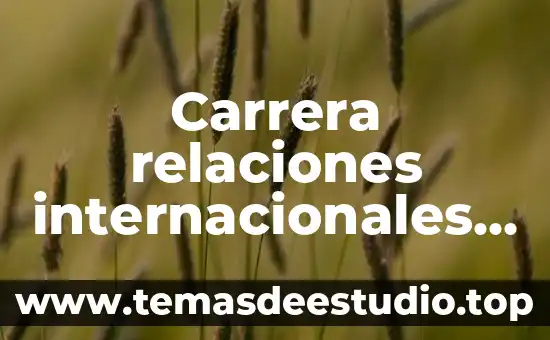 Qué es la carrera ingeniería en administración 8 Carrera relaciones internacionales que es