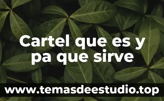 Cartel que es y pa que sirve