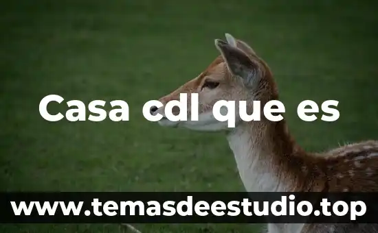 Que es la justicia y como se practica en casa 5 Casa cdl que es