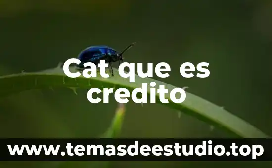 Qué es crédito definición 6 Cat que es credito