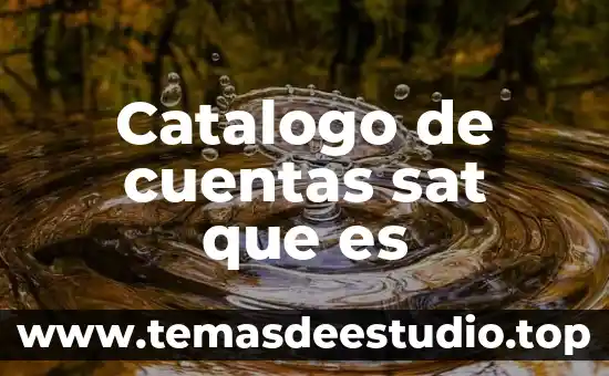 Que es un catalogo en bases de datos 4 Catalogo de cuentas sat que es