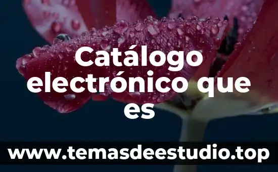 Que es un catalogo en bases de datos 3 Catálogo electrónico que es