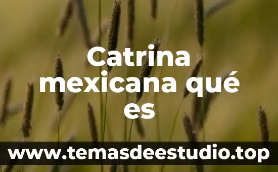 Qué es ser de la derecha en política mexicana 8 Catrina mexicana qué es
