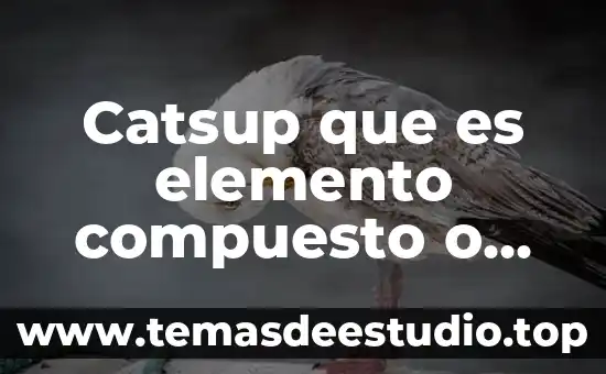 Shampoo que es compuesto o mezcla o elemento 4 Catsup que es elemento compuesto o mezcla