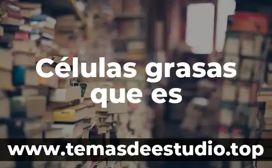 Células grasas que es
