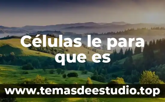 Que es carga animal concepto 4 Células le para que es