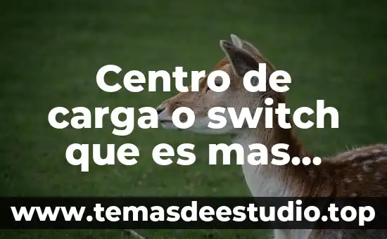 ¿Qué es mejor Nintendo Switch o PS Vita? 3 Centro de carga o switch que es mas confiable