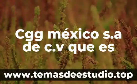 Crees que es un monumento la catedral de México 8 Cgg méxico s.a de c.v que es