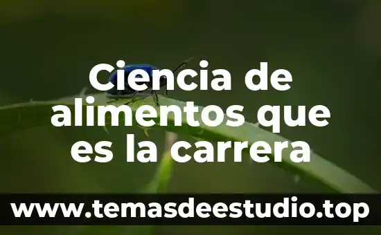 Que es stock de alimentos 5 Ciencia de alimentos que es la carrera