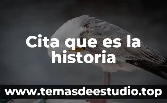 Cita que es la historia