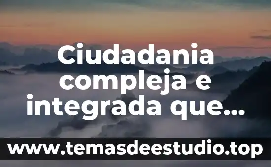 Qué es el concepto de formación 8 Ciudadania compleja e integrada que es