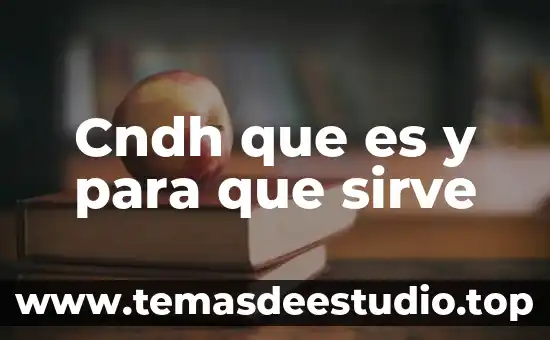 Qué es la planta moringa y para qué sirve 3 Cndh que es y para que sirve