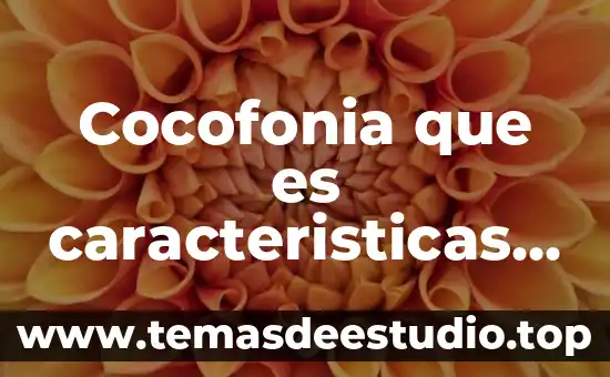 Conocimiento irracional que es y ejemplos 4 Cocofonia que es caracteristicas y ejemplos