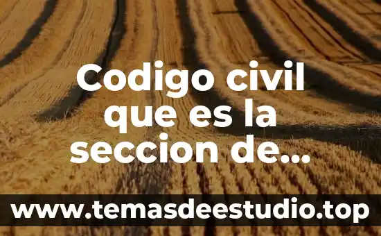Que es fondo sección serie y unidad documental 6 Codigo civil que es la seccion de derechos