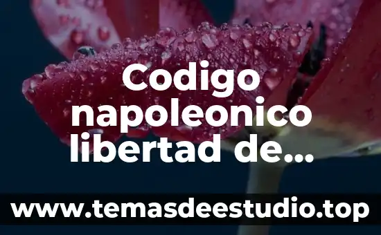 Que es el codigo de amurai 6 Codigo napoleonico libertad de trabajo que es