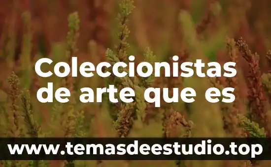 Coleccionistas de arte que es