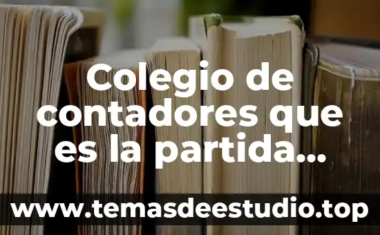 Colegio de contadores que es la partida doble