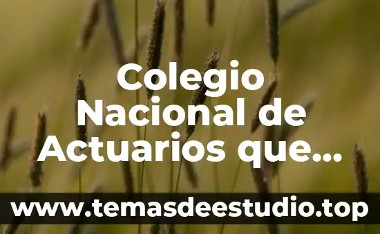 Que es la danza prehispanica nacional los voladores de papantla 8 Colegio Nacional de Actuarios que es