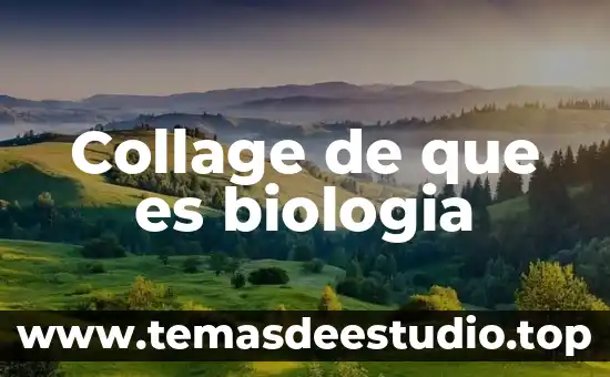 Qué es un asistente de arte 7 Collage de que es biologia